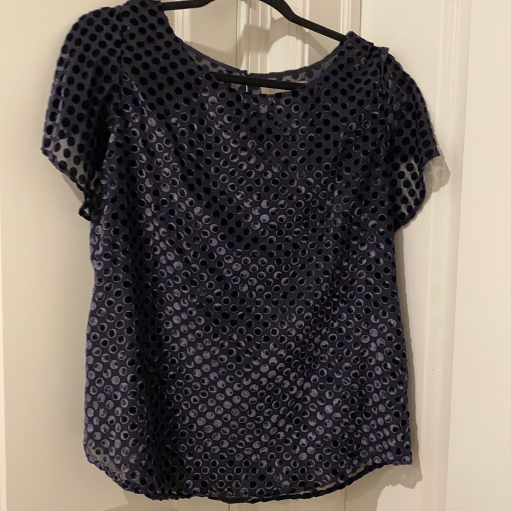 Loft Blue Blouse